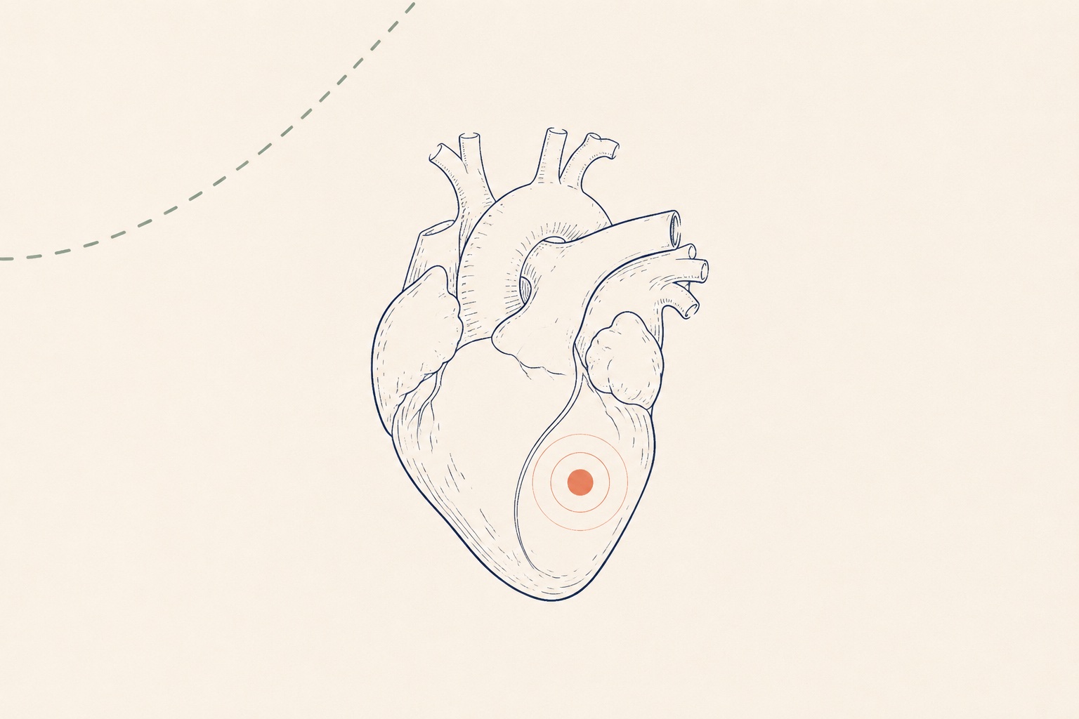 Soft illustration: a single bright point inside a simplified heart outline on warm paper